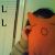 :iconlindseylouque: