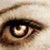 :iconline-linee: