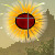 :iconlinewise: