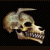 :iconling1134: