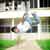 :iconlinjunxian: