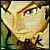 :iconlink-fan: