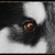 :iconlink-hacker: