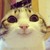 :iconlink-lucas: