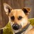 :iconlink5678: