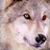 :iconlinklance: