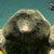 :iconlinlin80: