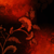 :iconlinnaeaborealis: