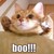 :iconlinpriest: