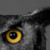 :iconlinz-leigh:
