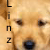 :iconlinzy1111: