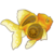 :iconlion-and-goldfish: