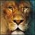 :iconlion3d: