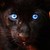 :iconlioness020: