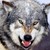 :iconlionheart94: