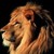 :iconlionkingdom: