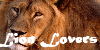 :iconlionloversclub: