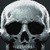 Lionsketch :iconlionsketch: