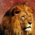 :iconlionsprint346: