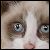 :iconlionx3lamb: