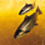 :iconlioperkele: