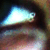 :iconlip-biz:
