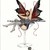 :iconlipplelily: