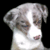 :iconlips-of-an-angel95: