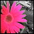 :iconlipstick-trace: