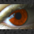 :iconliquid-tears: