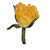:iconliquidblackroses:
