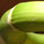 :iconliquidbrush: