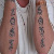 :iconliquidfantasyart: