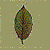 :iconliquidlime: