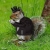 :iconliquidstranger: