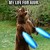 :iconlirala90: