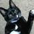 :iconlisa212161: