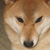 :iconlisacolom: