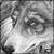 :iconlisadonovan: