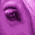 :iconlisasamazingstock: