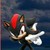 :iconlisaxsonic: