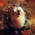 :iconliskaza: