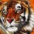 :iconlisselotte9: