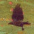 :iconlistenreflect:
