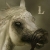:iconLitari: