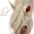 :iconlitari: