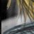 :iconlitd-club: