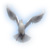 :iconlite-black: