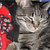 :iconliterarycourier: