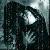 :iconlithias-dark-angel:
